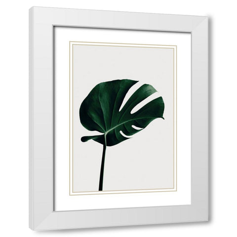 Monstera Natural 02 White Modern Wood Framed Art Print with Double Matting by Artographie Studio