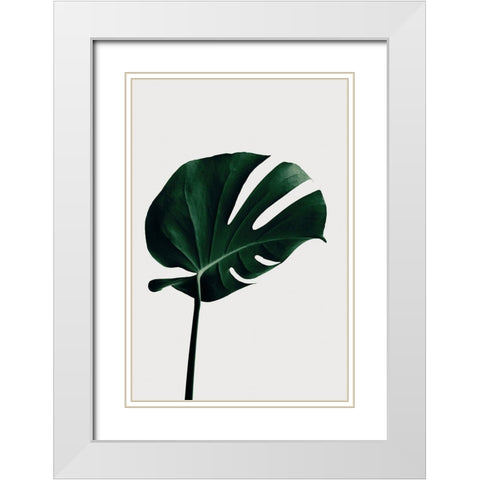 Monstera Natural 02 White Modern Wood Framed Art Print with Double Matting by Artographie Studio