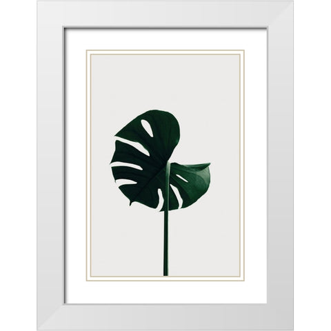 Monstera Natural 06 White Modern Wood Framed Art Print with Double Matting by Artographie Studio