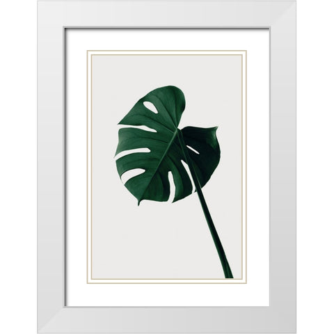 Monstera Natural 07 White Modern Wood Framed Art Print with Double Matting by Artographie Studio