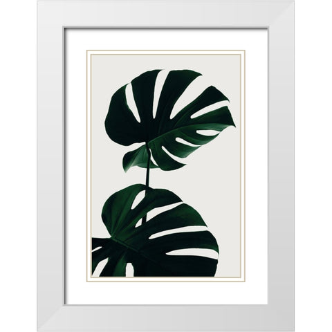 Monstera Natural 09 White Modern Wood Framed Art Print with Double Matting by Artographie Studio