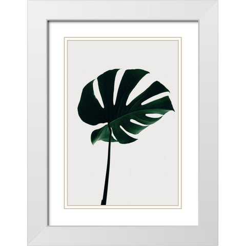 Monstera Natural 10 White Modern Wood Framed Art Print with Double Matting by Artographie Studio