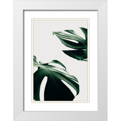 Monstera Natural 11 White Modern Wood Framed Art Print with Double Matting by Artographie Studio