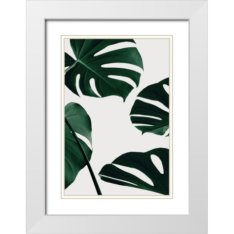 Monstera Natural 20 White Modern Wood Framed Art Print with Double Matting by Artographie Studio