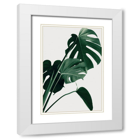 Monstera Natural 22 White Modern Wood Framed Art Print with Double Matting by Artographie Studio