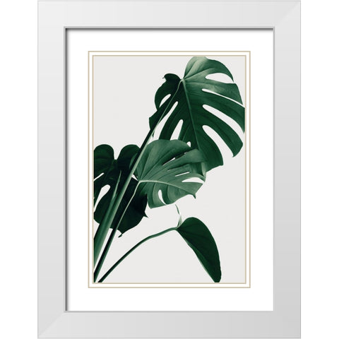 Monstera Natural 22 White Modern Wood Framed Art Print with Double Matting by Artographie Studio