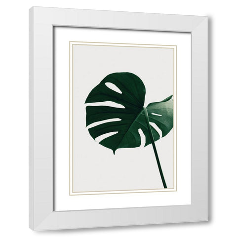 Monstera Natural 33 White Modern Wood Framed Art Print with Double Matting by Artographie Studio