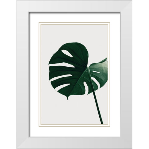 Monstera Natural 33 White Modern Wood Framed Art Print with Double Matting by Artographie Studio