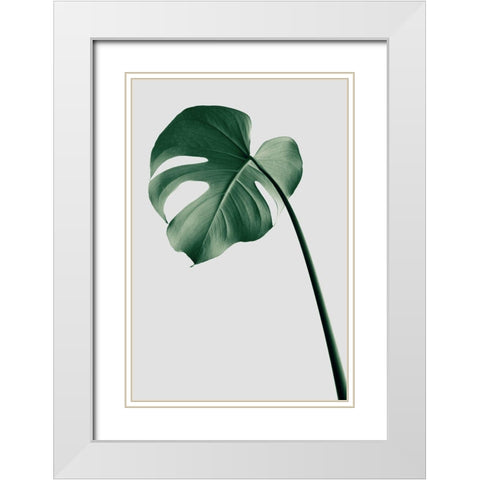 Monstera Natural 36 White Modern Wood Framed Art Print with Double Matting by Artographie Studio