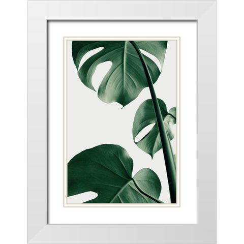 Monstera Natural 37 White Modern Wood Framed Art Print with Double Matting by Artographie Studio