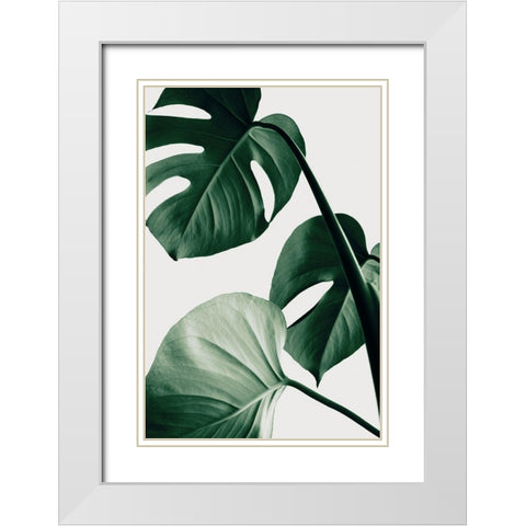 Monstera Natural 42 White Modern Wood Framed Art Print with Double Matting by Artographie Studio