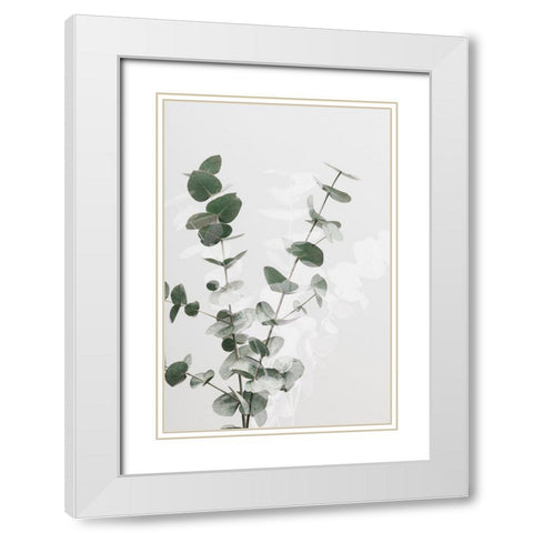 Eucalyptus Creative 02 White Modern Wood Framed Art Print with Double Matting by Artographie Studio