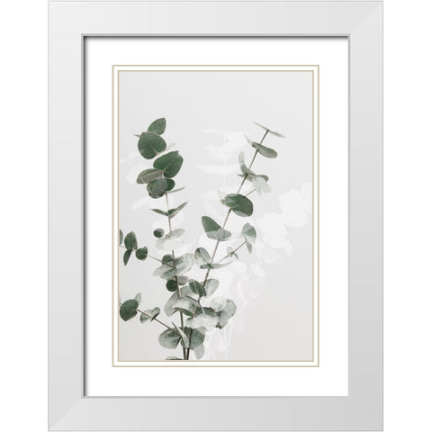 Eucalyptus Creative 02 White Modern Wood Framed Art Print with Double Matting by Artographie Studio
