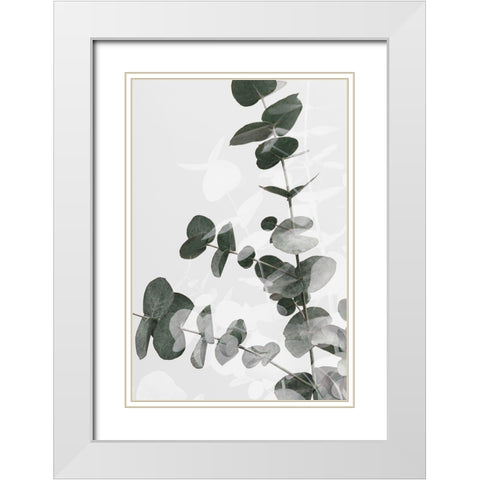 Eucalyptus Creative 04 White Modern Wood Framed Art Print with Double Matting by Artographie Studio