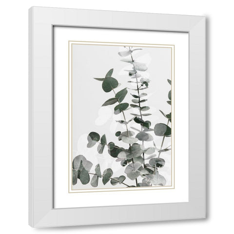 Eucalyptus Creative 06 White Modern Wood Framed Art Print with Double Matting by Artographie Studio