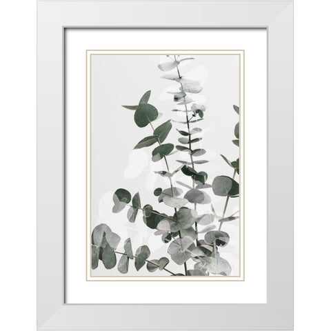 Eucalyptus Creative 06 White Modern Wood Framed Art Print with Double Matting by Artographie Studio