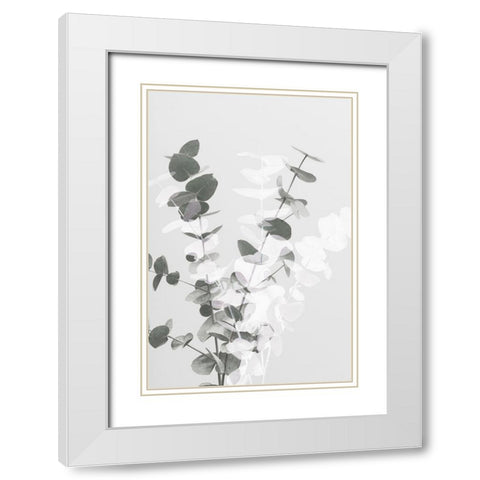 Eucalyptus Creative 08 White Modern Wood Framed Art Print with Double Matting by Artographie Studio