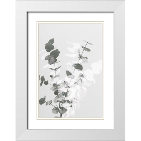 Eucalyptus Creative 08 White Modern Wood Framed Art Print with Double Matting by Artographie Studio