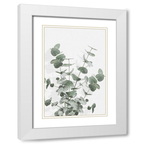Eucalyptus Creative 16 White Modern Wood Framed Art Print with Double Matting by Artographie Studio