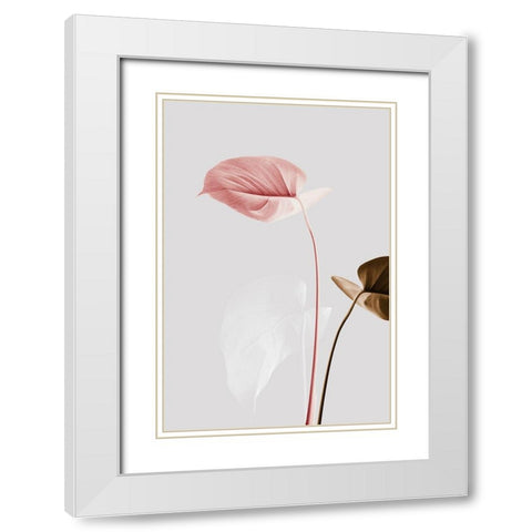 Monstera Creative 21 White Modern Wood Framed Art Print with Double Matting by Artographie Studio