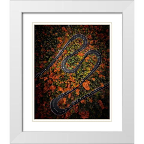 Curves White Modern Wood Framed Art Print with Double Matting by Razvan