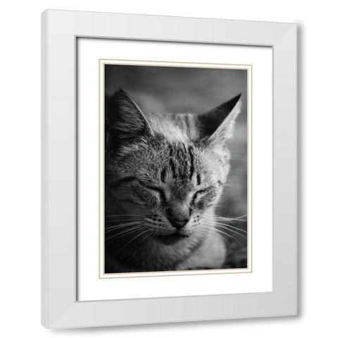 Close to the sunlight White Modern Wood Framed Art Print with Double Matting by Cambero Munoz, Jesus