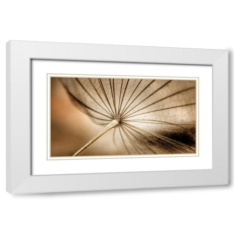Nature Blood Vessels White Modern Wood Framed Art Print with Double Matting by Pessach, kobbie