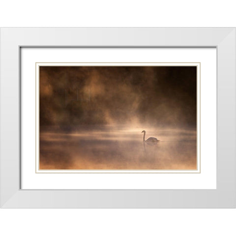 Foggy Morning White Modern Wood Framed Art Print with Double Matting by Zhong, John-Mei