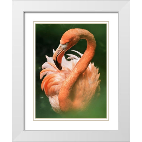 Flame White Modern Wood Framed Art Print with Double Matting by Zetos, Alexios