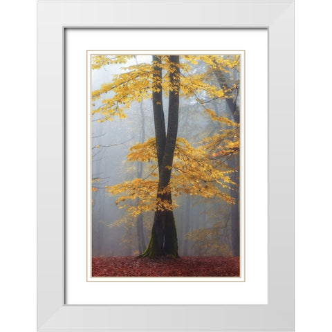 Loving trees White Modern Wood Framed Art Print with Double Matting by Hafezi, shahram