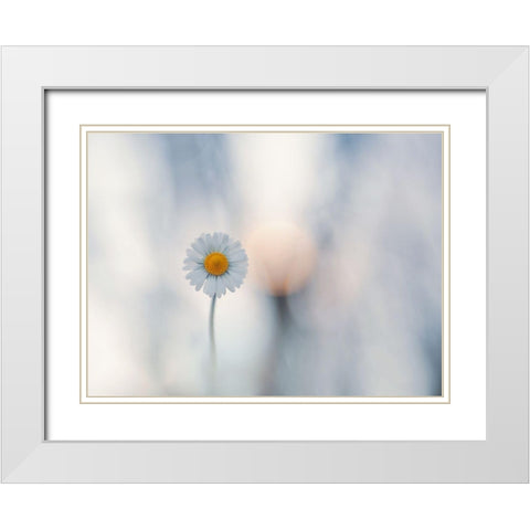 Candida White Modern Wood Framed Art Print with Double Matting by Bonazza, Lara