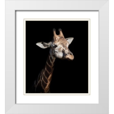 Giraffe in Low Key White Modern Wood Framed Art Print with Double Matting by Garcia, Helena