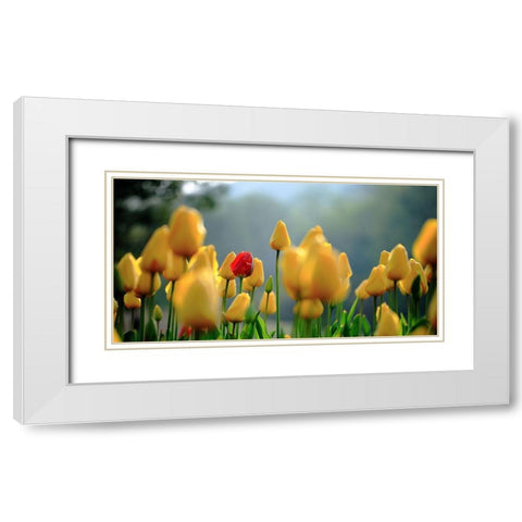 Yellow Flowers White Modern Wood Framed Art Print with Double Matting by Hall, Harry