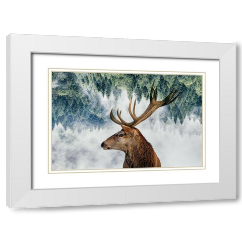 The Deer and the woods White Modern Wood Framed Art Print with Double Matting by Beata, Angyalosi