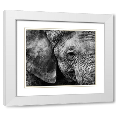 Elephant skin White Modern Wood Framed Art Print with Double Matting by Garcia, Helena