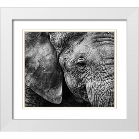 Elephant skin White Modern Wood Framed Art Print with Double Matting by Garcia, Helena
