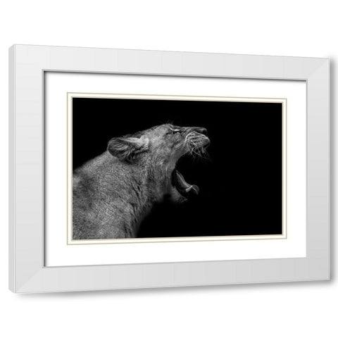 Lioness in low key White Modern Wood Framed Art Print with Double Matting by Nauzet Baez Photography