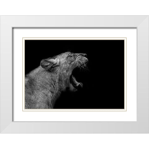 Lioness in low key White Modern Wood Framed Art Print with Double Matting by Nauzet Baez Photography