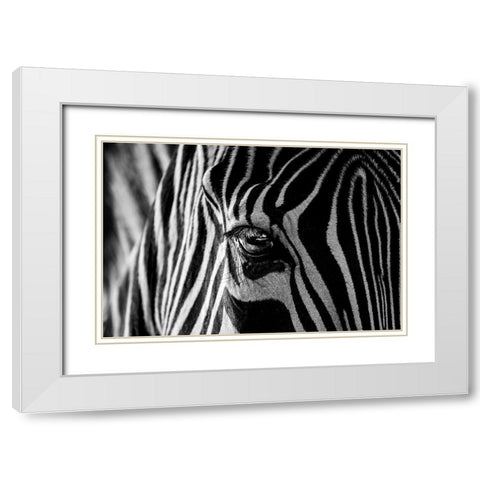 Abstract Zebra White Modern Wood Framed Art Print with Double Matting by darnell, roy