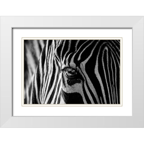 Abstract Zebra White Modern Wood Framed Art Print with Double Matting by darnell, roy