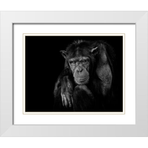 Youth dont last Forever White Modern Wood Framed Art Print with Double Matting by Nauzet Baez Photography