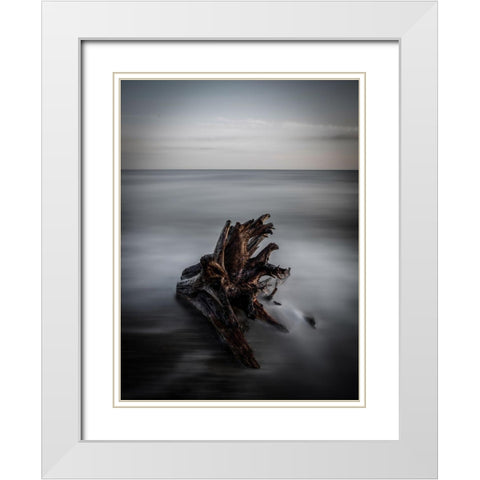 Naufrago White Modern Wood Framed Art Print with Double Matting by Lintaman, Adachi