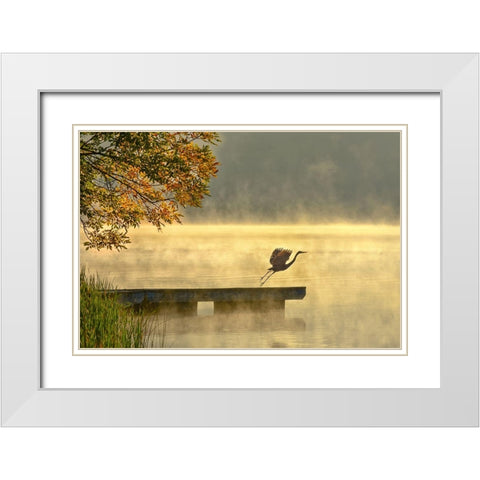 Morning flight White Modern Wood Framed Art Print with Double Matting by Zhang, Eric