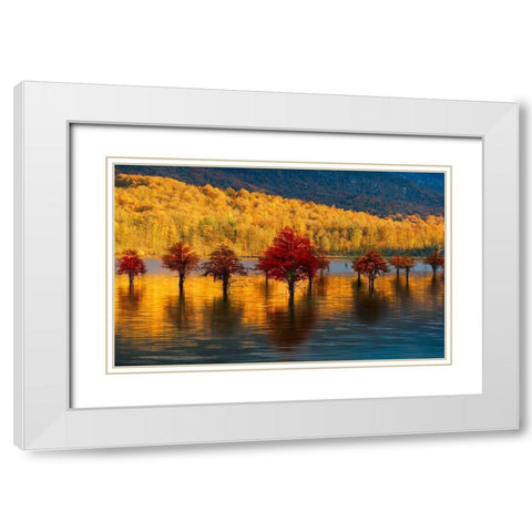 Golden Sunset White Modern Wood Framed Art Print with Double Matting by Fallahzadeh, Ali