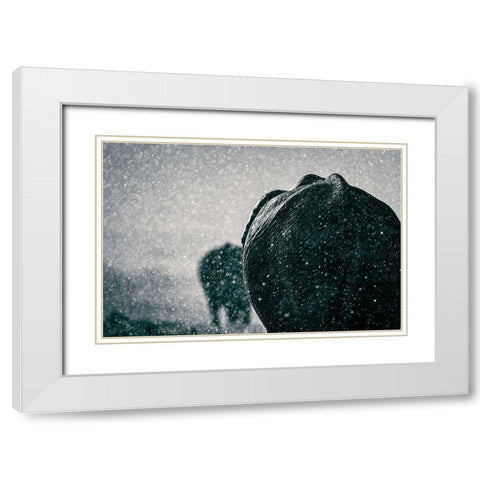 Rainy Season White Modern Wood Framed Art Print with Double Matting by Taylor, Mike