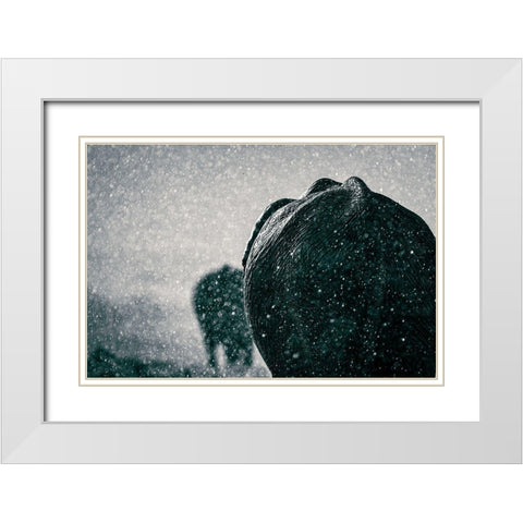 Rainy Season White Modern Wood Framed Art Print with Double Matting by Taylor, Mike
