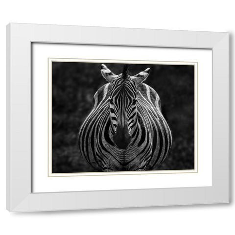 Stare White Modern Wood Framed Art Print with Double Matting by Chen, Jiong