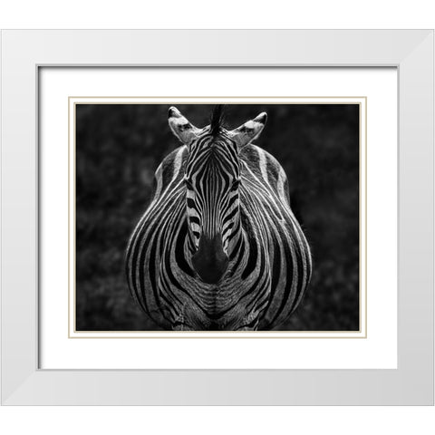 Stare White Modern Wood Framed Art Print with Double Matting by Chen, Jiong