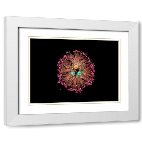 Colors of Life White Modern Wood Framed Art Print with Double Matting by Adikary, Sujon