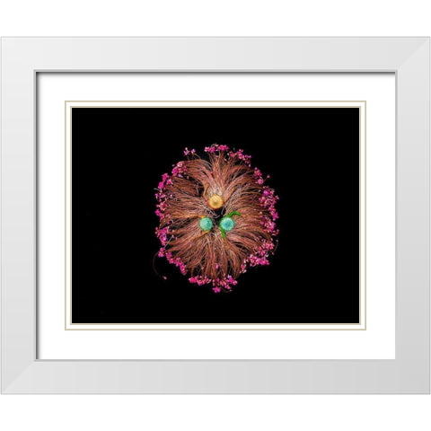 Colors of Life White Modern Wood Framed Art Print with Double Matting by Adikary, Sujon